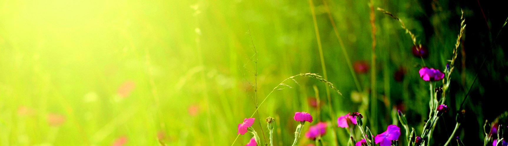 Serotonine-Booster-Banner